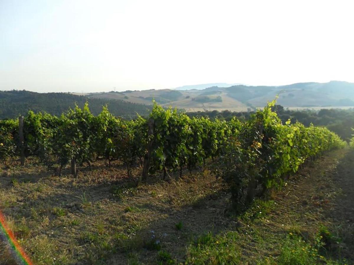 Agriturismo Fattoria Di Statiano Séjour à la ferme *