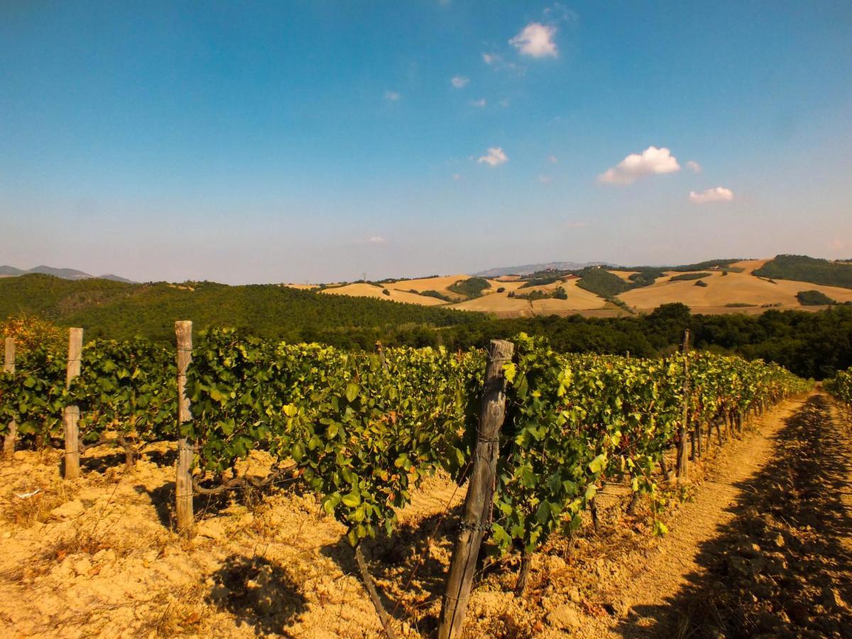 Agriturismo Fattoria Di Statiano Vakantieboerderij *