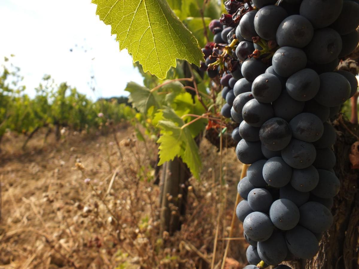 Agriturismo Fattoria Di Statiano * Pomarance