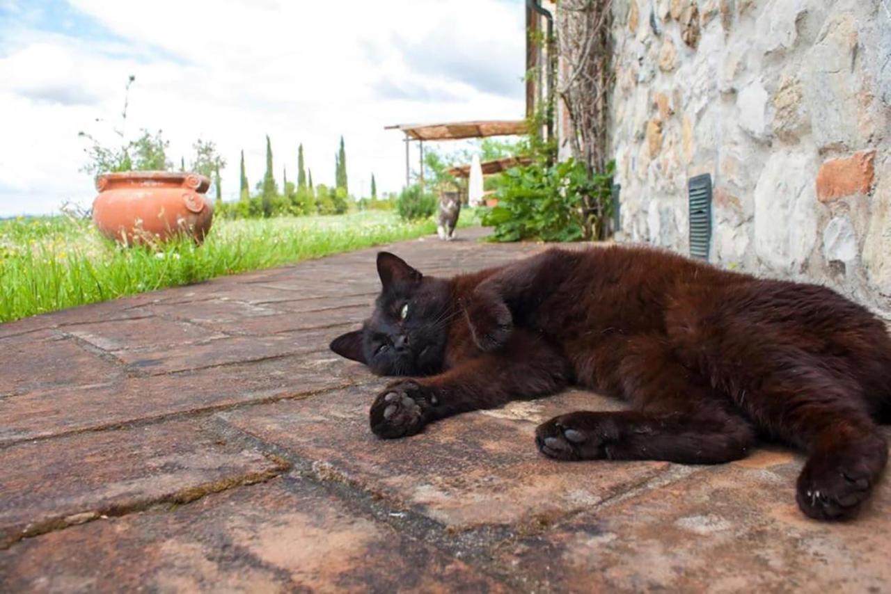 Agriturismo Fattoria Di Statiano